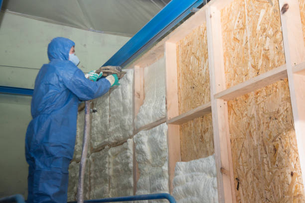 Insulation Contractors for Homes